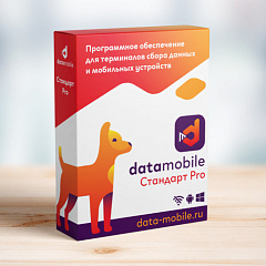 ПО DataMobile, версия Стандарт Pro в Нижнекамске